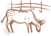 Pasture-copy-2-1 Pasture copy